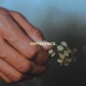 Difference Single