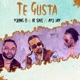 Te Gusta Single