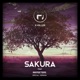 Sakura feat Rikpeeters Special Version Single