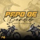 Papo de Bandido Single