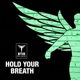 Hold Your Breath Single