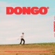 Dongo