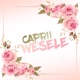 Wesele Radio Edit Single
