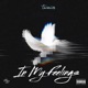 In My Feelings Single