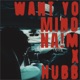 WANT YO MIND feat Hubb Single