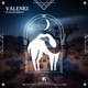 Valenki Single