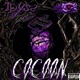 Cocoon Single