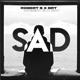 SAD Single