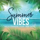 Summer Vibes feat Rob Diggy Single