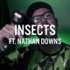Insects feat Nathan Downs Single
