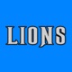 DETROIT LIONS