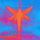 Night Sky Nostalgia Single