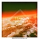 Stand Down feat LaRaisha Single