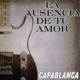 La Ausencia De Tu Amor