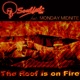 The Roof Is on Fire feat Monday Midnite Single