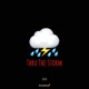 Thru the Storm Single
