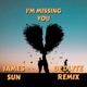 I m Missing You Bedlyte Remix Single
