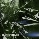 INMYHEAD Single