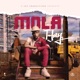 Mola Single