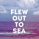 Flew Out To Sea Single