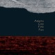 Adams Cox Fink Fox