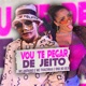 Vou Te Pegar de Jeito Single