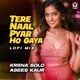 Tere Naal Pyar Ho Gaya LoFi Single