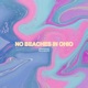 No Beaches In Ohio Single
