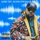Audio Swim Class Single