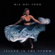 Island in the Storm Single
