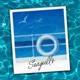 Seagulls feat Party Night 天の川 Single