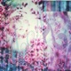 Flowerchild EP