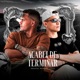 Acabei de Terminar Single