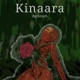 Kinaara Single