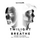 Twilight Vs Breathe feat Haliene Matthew Steeper Single