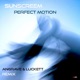 Perfect Motion Angrave Luckett Remix Single