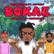 Bokae feat AlfaKat Single