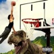 Dino Flow Single