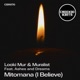 Mitomana I Believe feat Ashes and Dreams Single