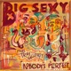 Nobody s Perfect feat Tray Haggerty Single