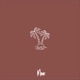 Miami s Closure Single