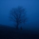 signal lost EP