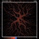 Roots Single