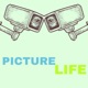 Picture Life Single