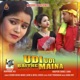 Udi Udi Baithe Maina Single