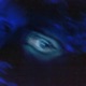 NIGHTLIGHT Single