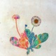 Phased Daisy Single