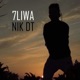 Nik Dt Single