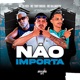 Não Importa Single