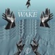 Wake feat Danewav Single